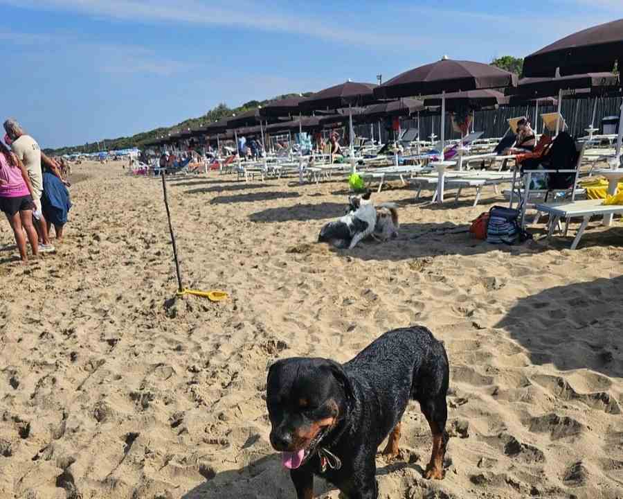 BauBeach San Vincenzo