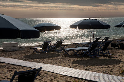 Bagno Palmo Mare  di Ronchi