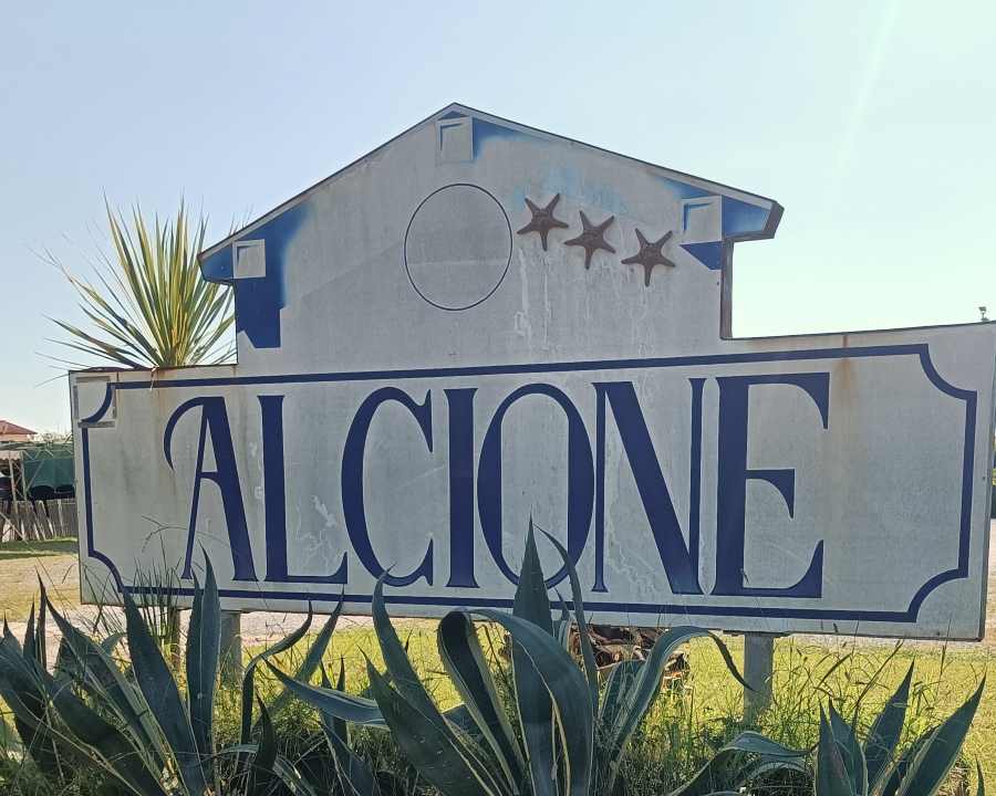 Bagno Alcione dei Ronchi