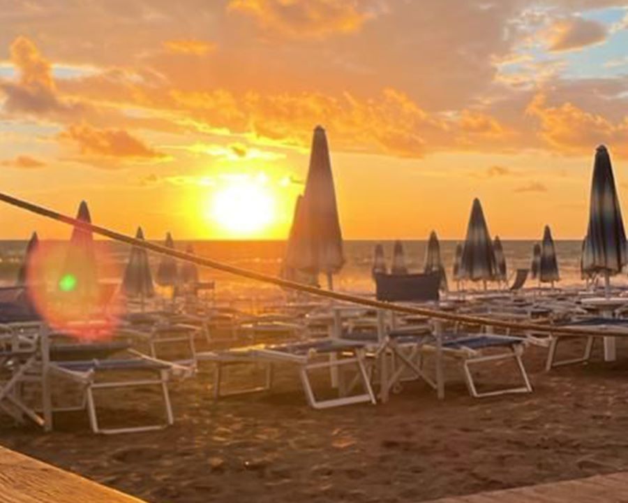 Bagno Mojito Dog Beach