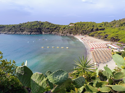Bagni Pino Solitario - Fetovaia_